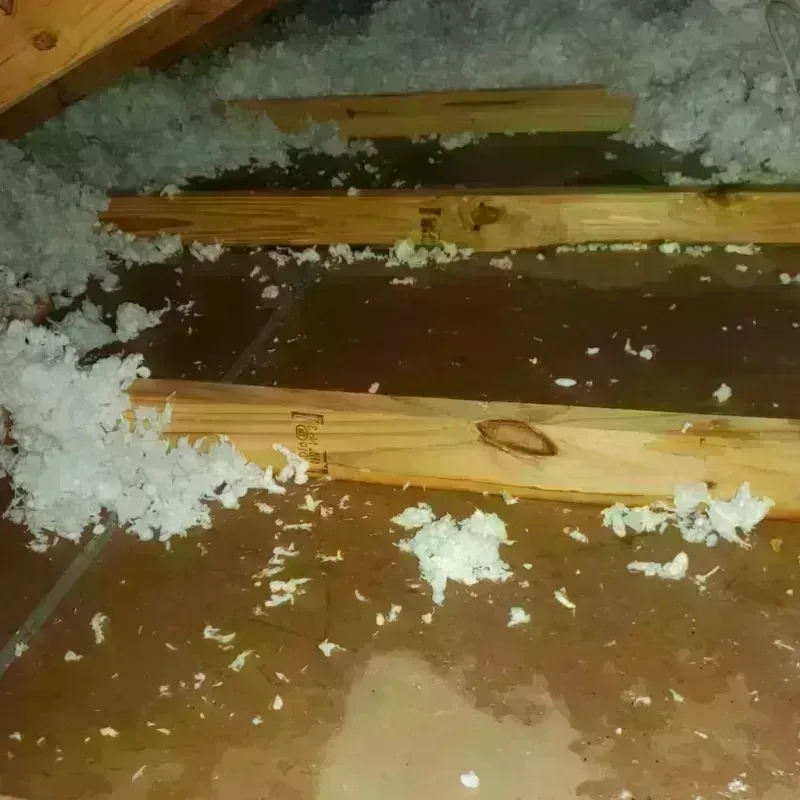 Attic Water Damage in Seymour, CT